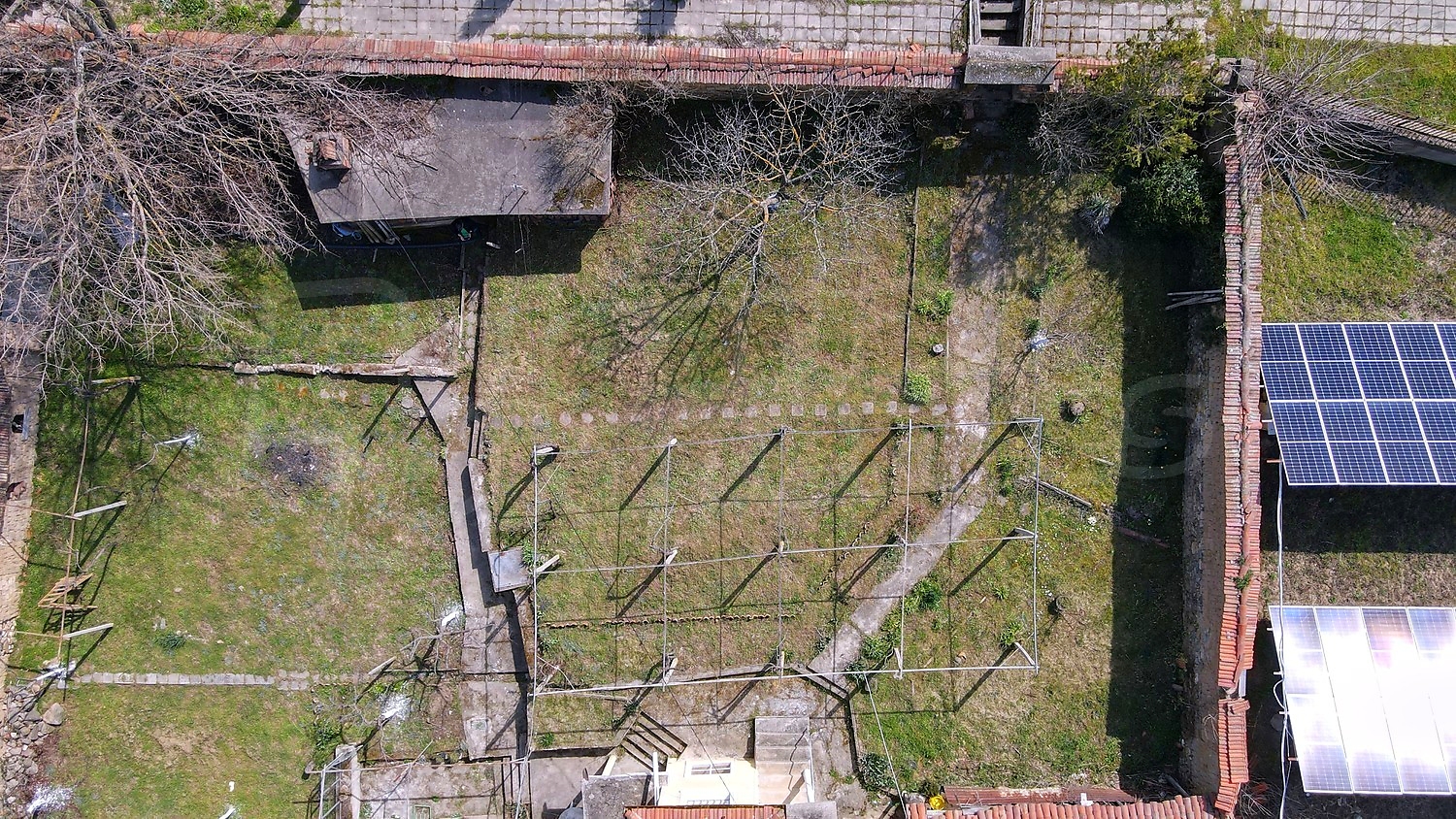 garden, outside