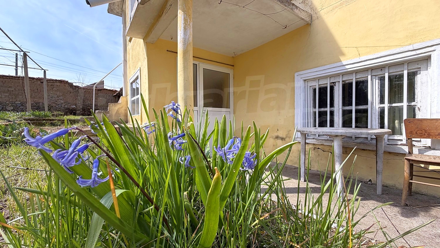 facade, garden, outside