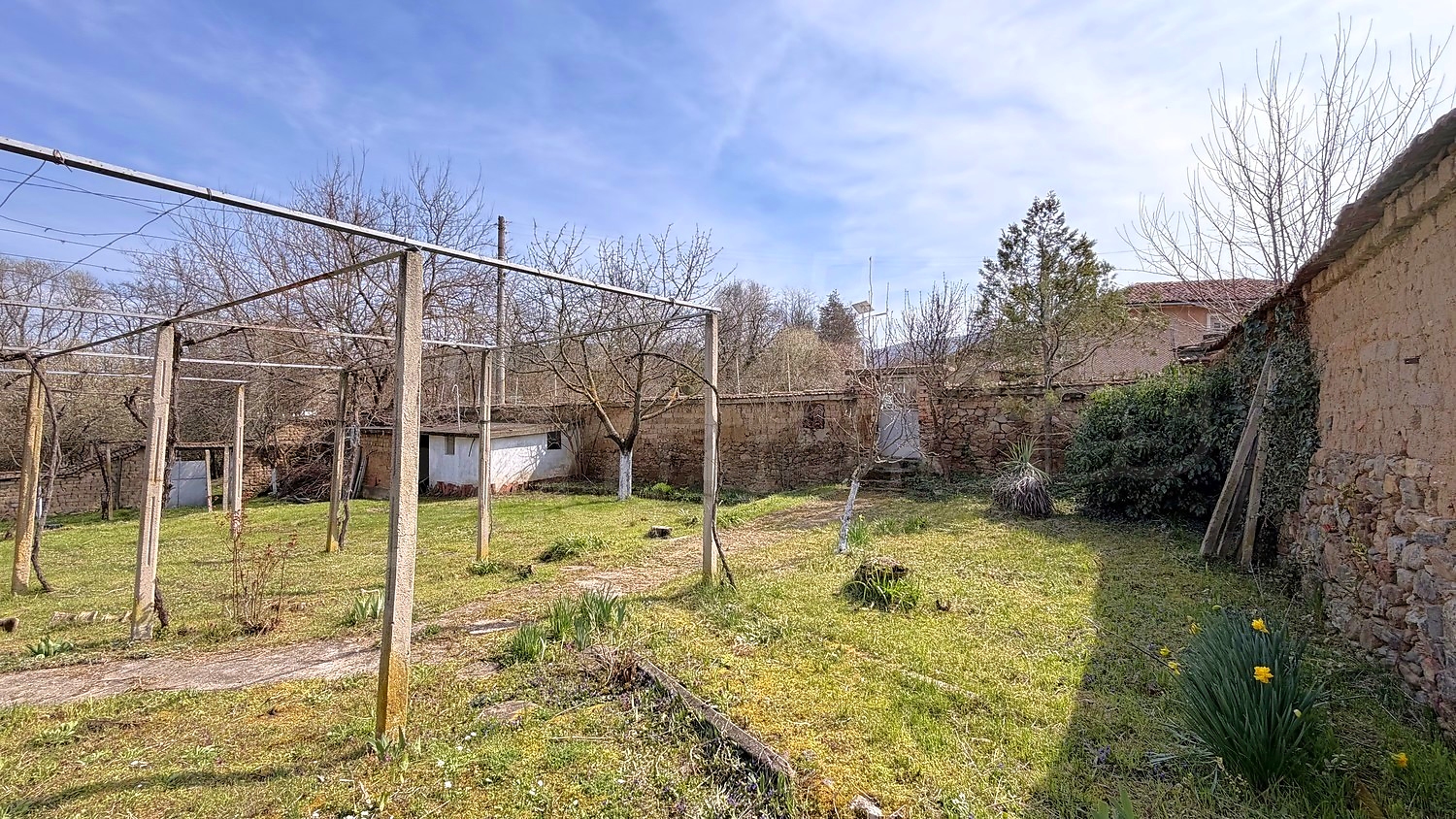 outside, garden, green area