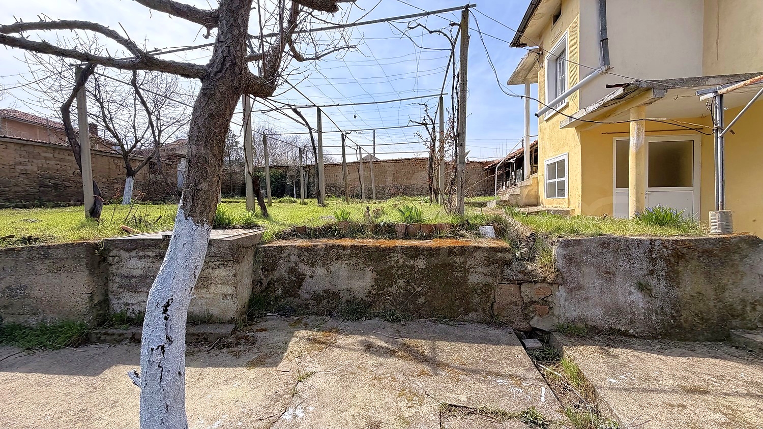 outside, garden