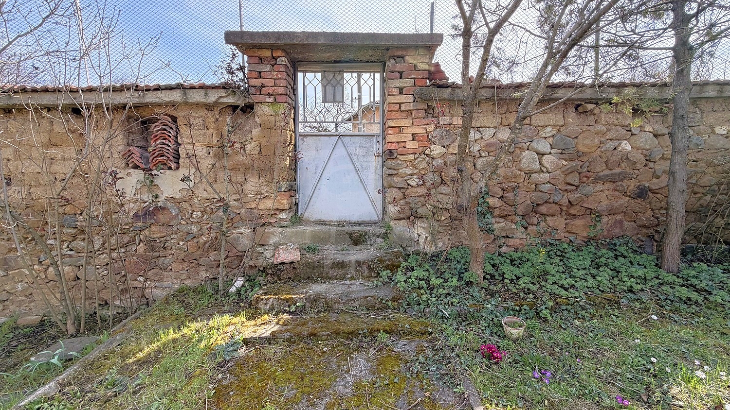 outside, garden