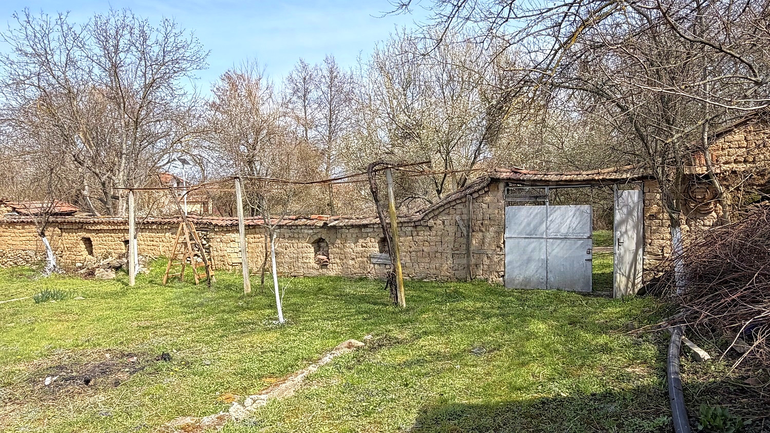 outside, garden
