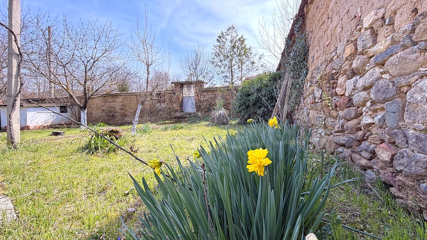 outside, garden, green area