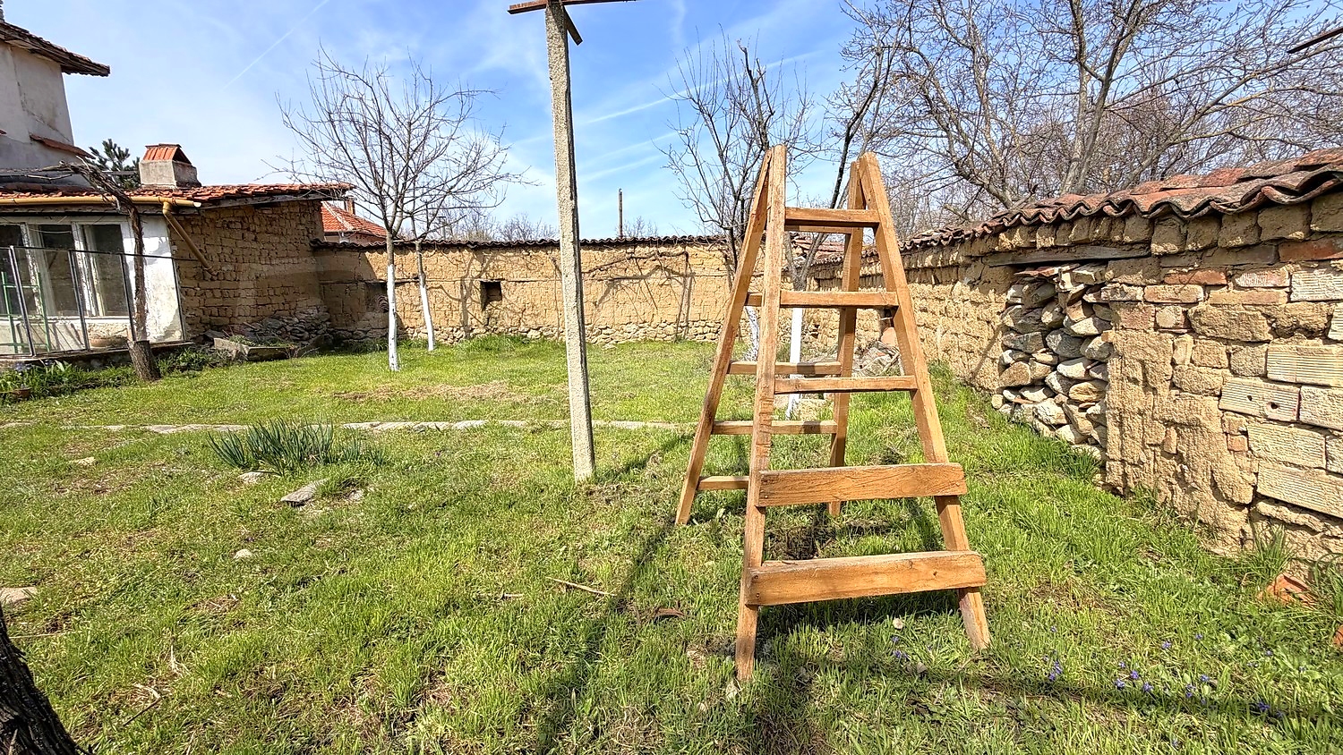 outside, garden