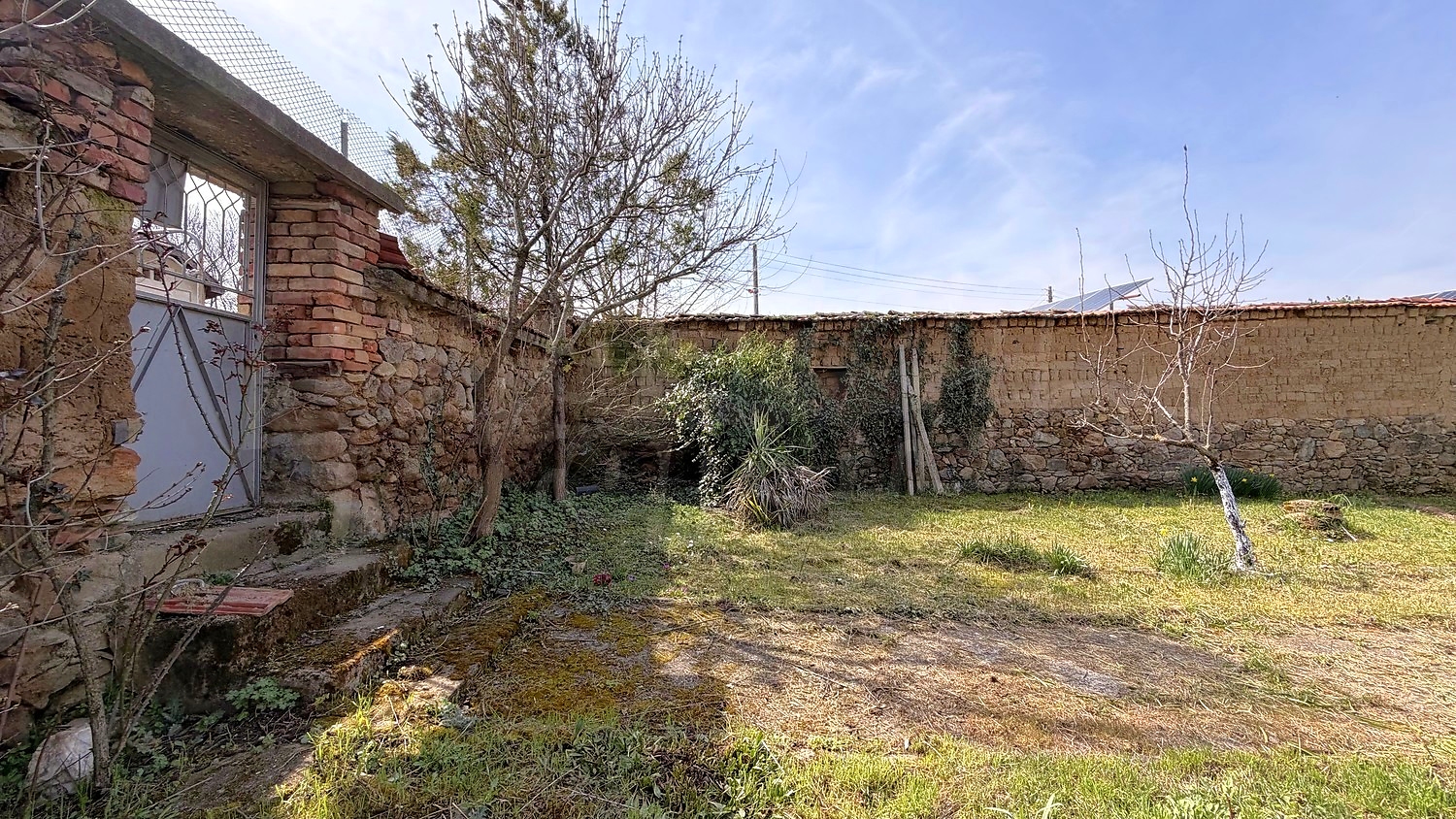 outside, garden