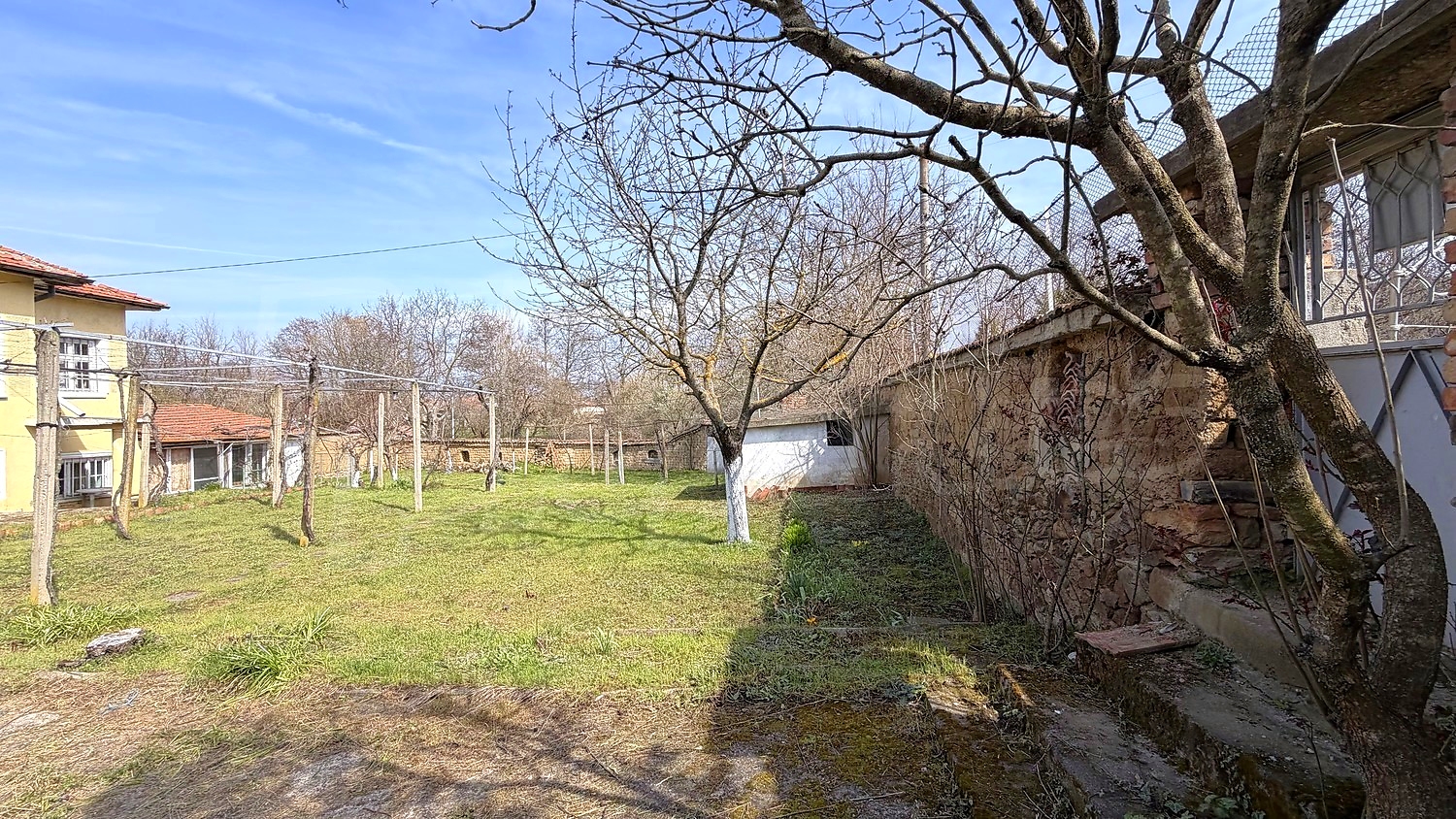 outside, garden, green area