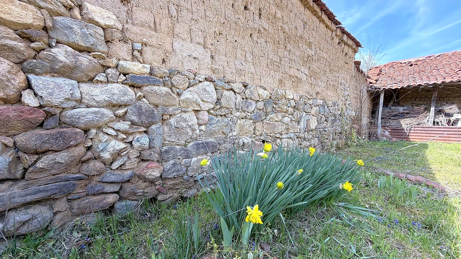 outside, garden