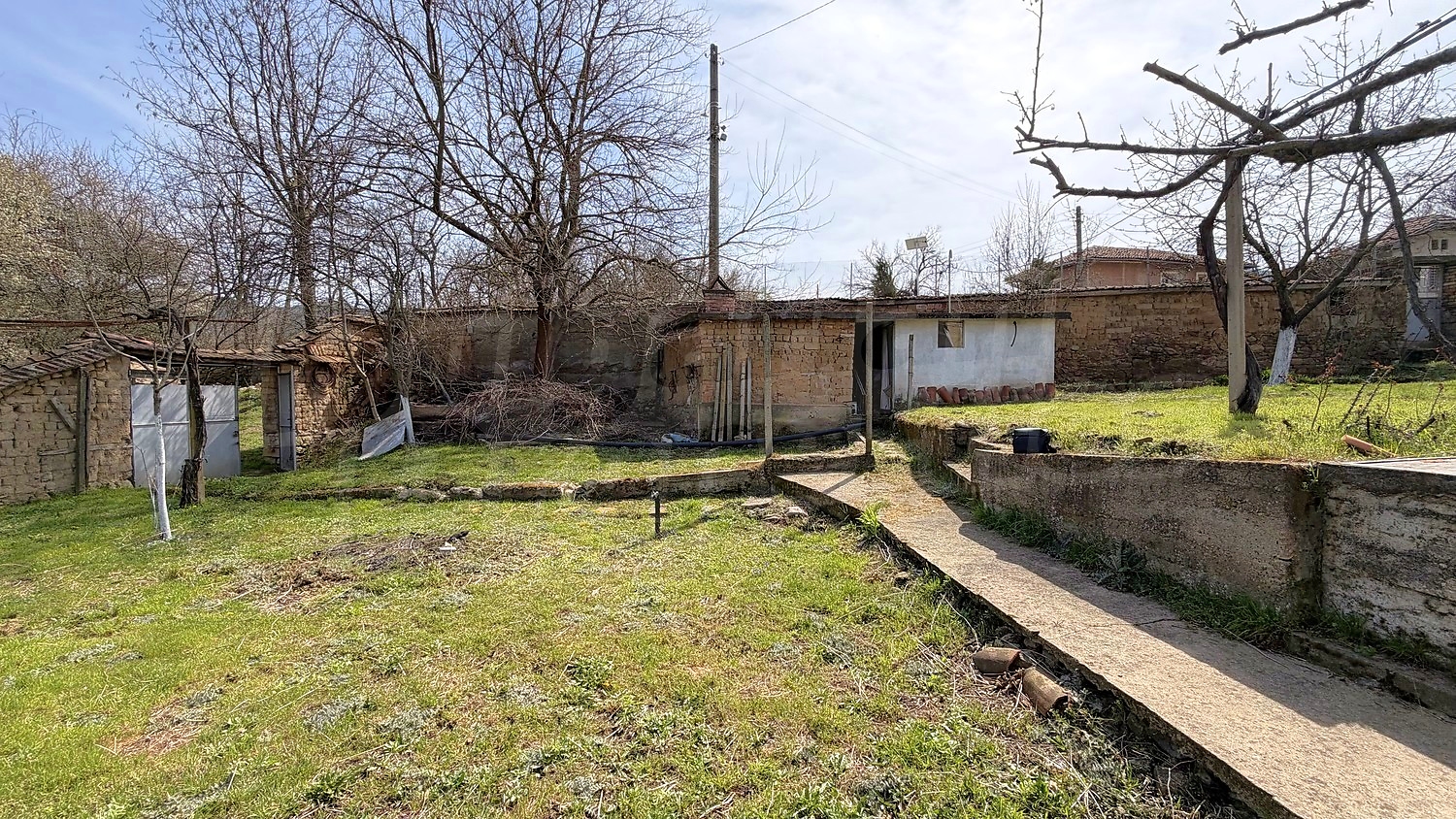 outside, garden, green area