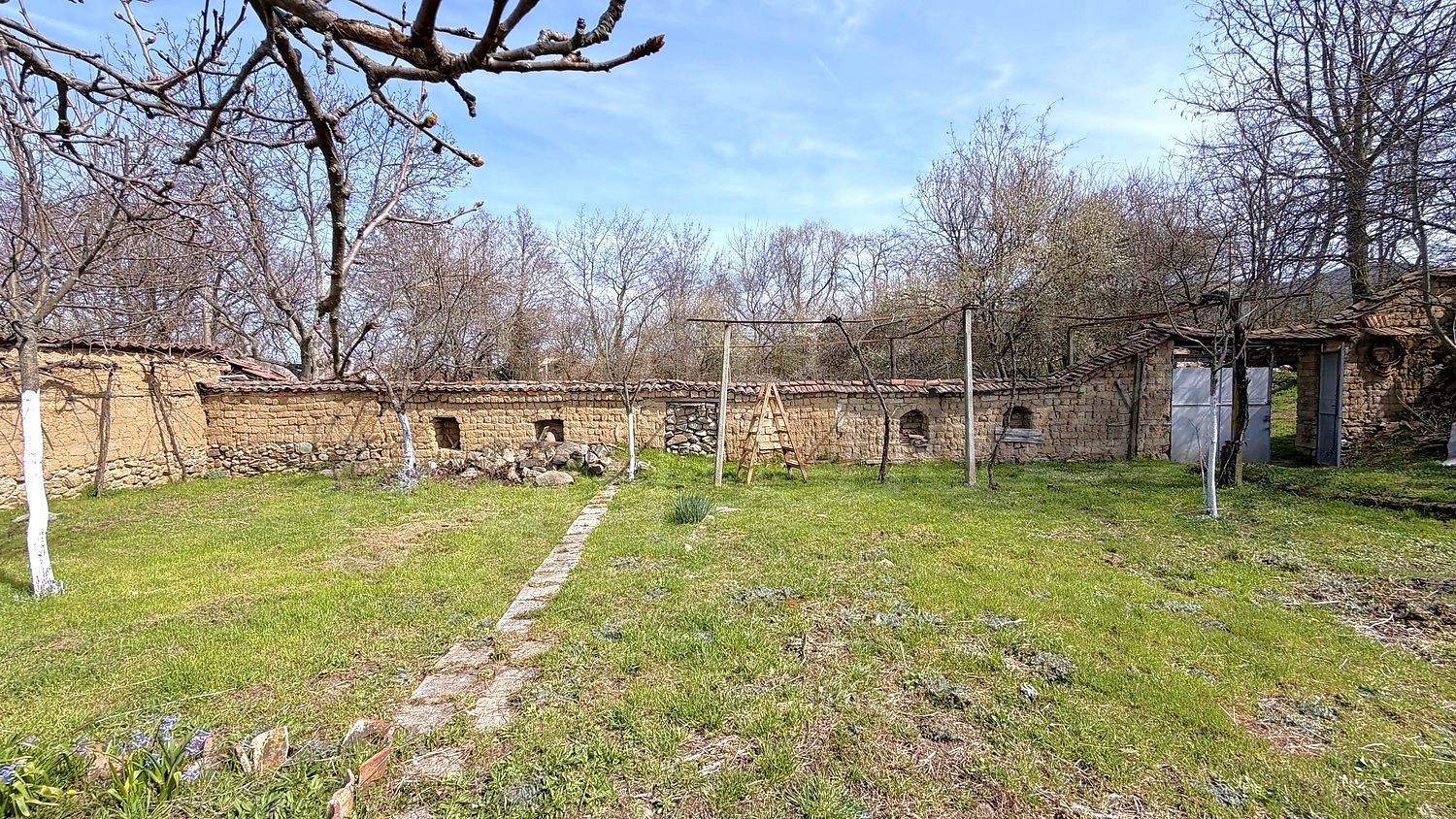 outside, garden