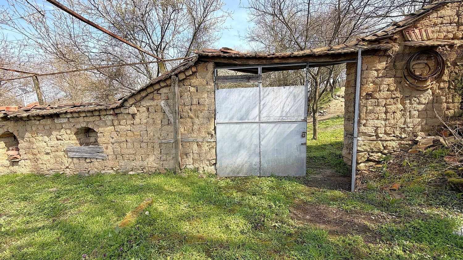 outside, garden