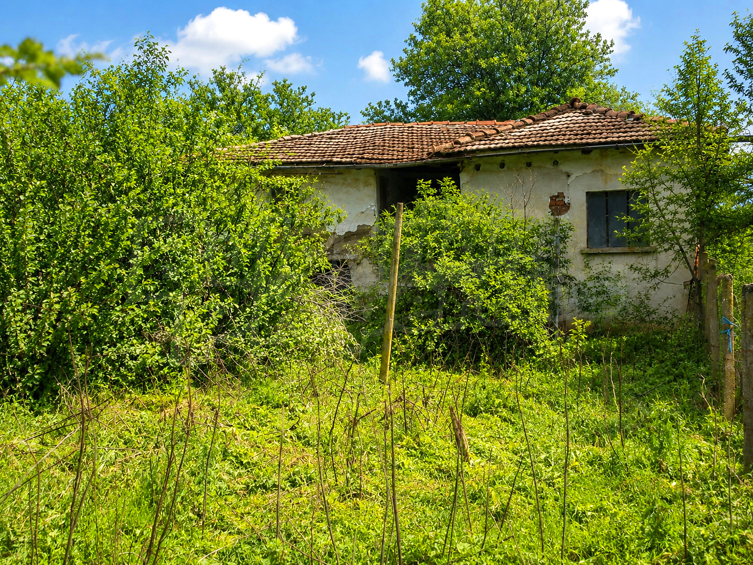 outside, facade, garden, green area
