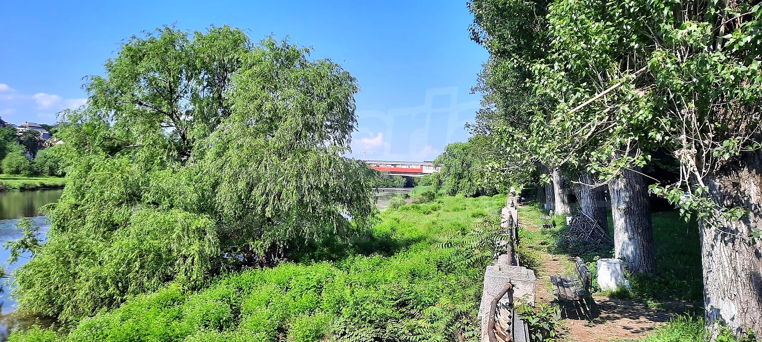 outside, green area