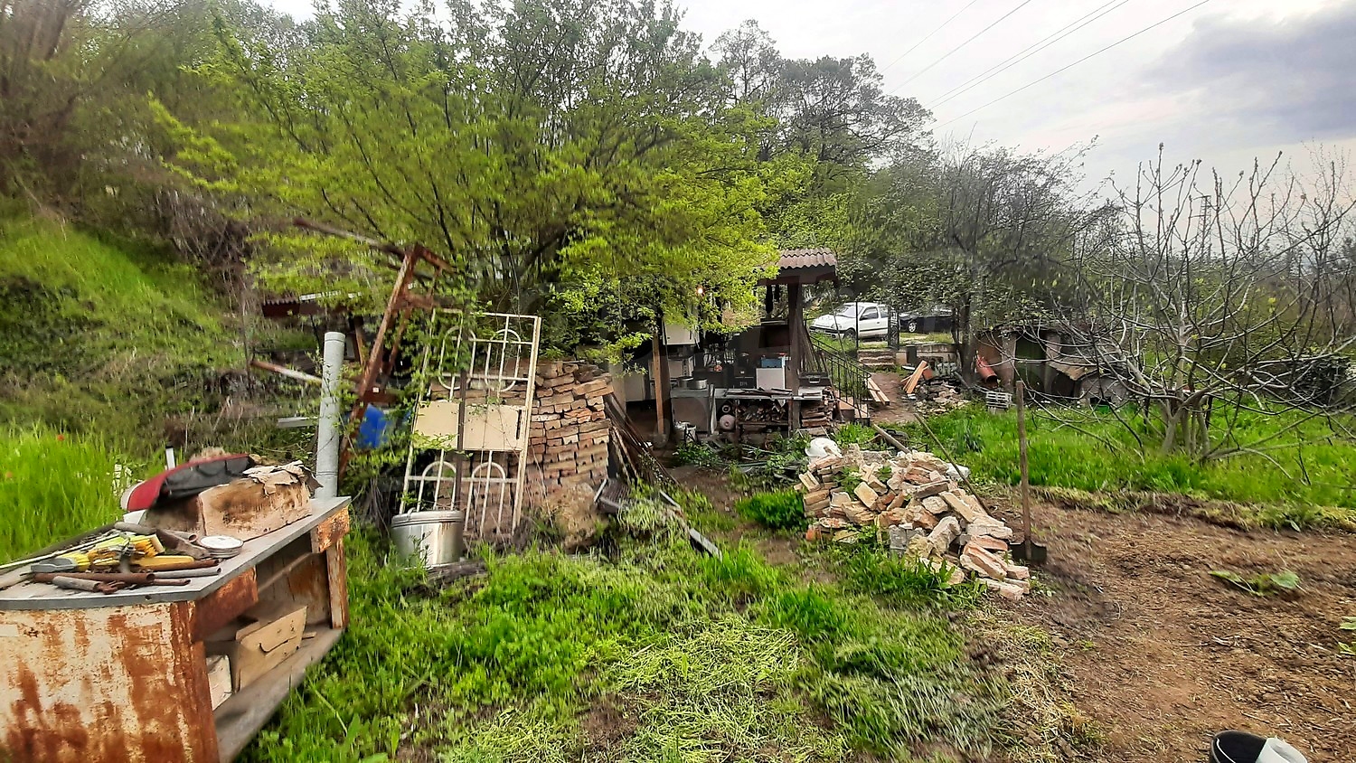 outside, garden, green area