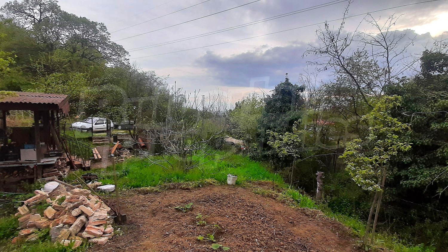 outside, garden, green area