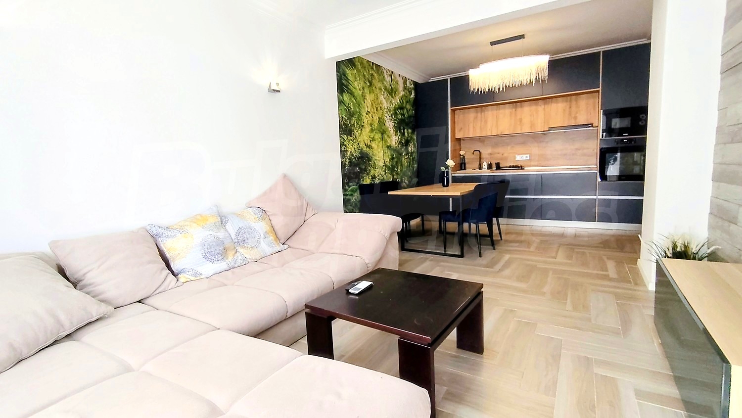 inside, living room, kitchen, furnished