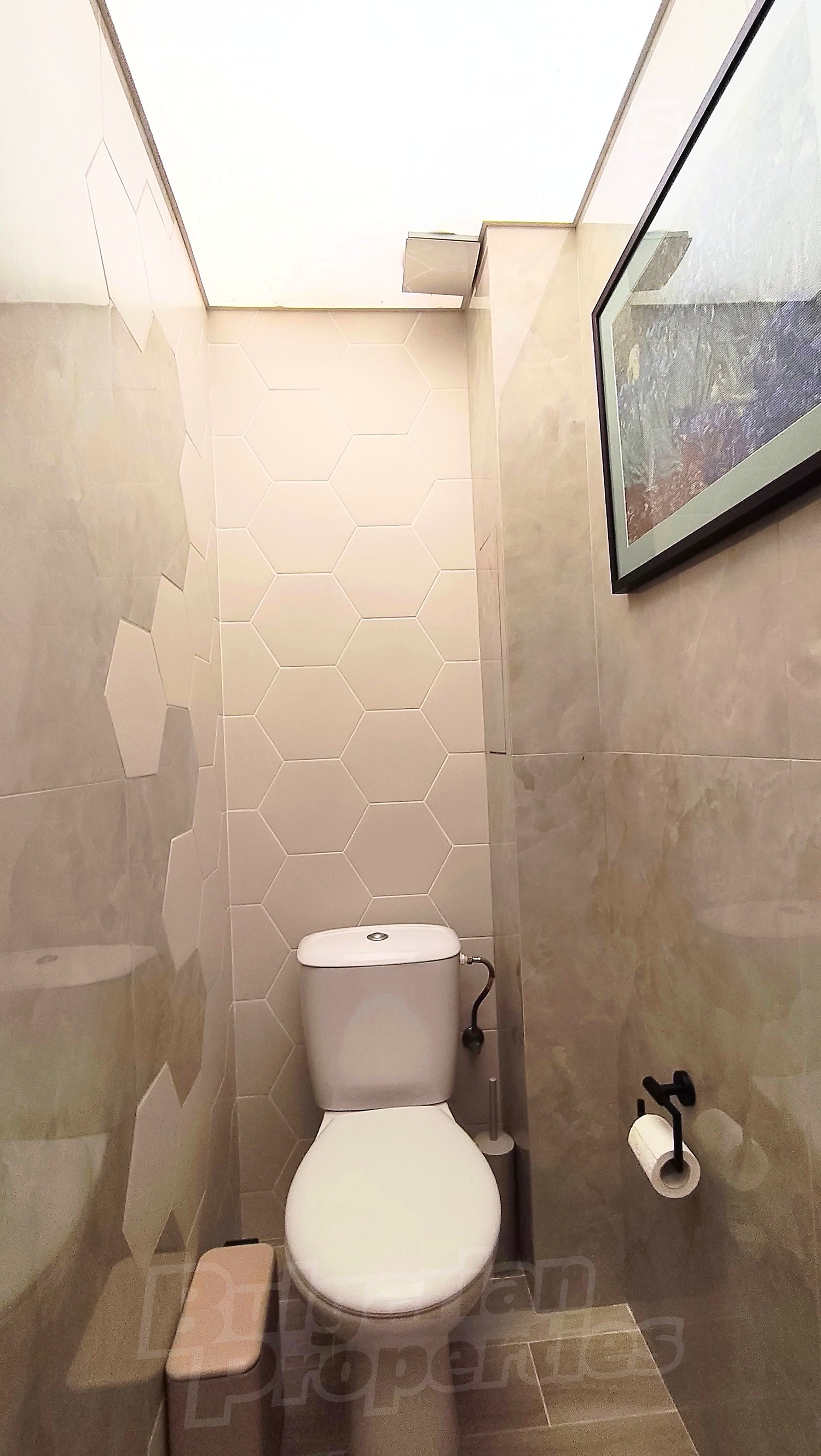 inside, bathroom, toilet
