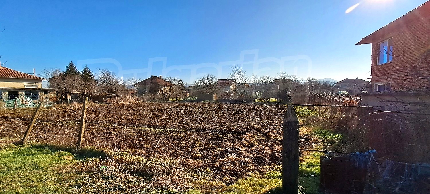 outside, garden