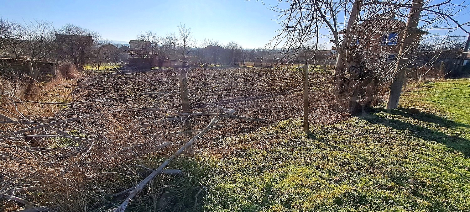 outside, garden, green area