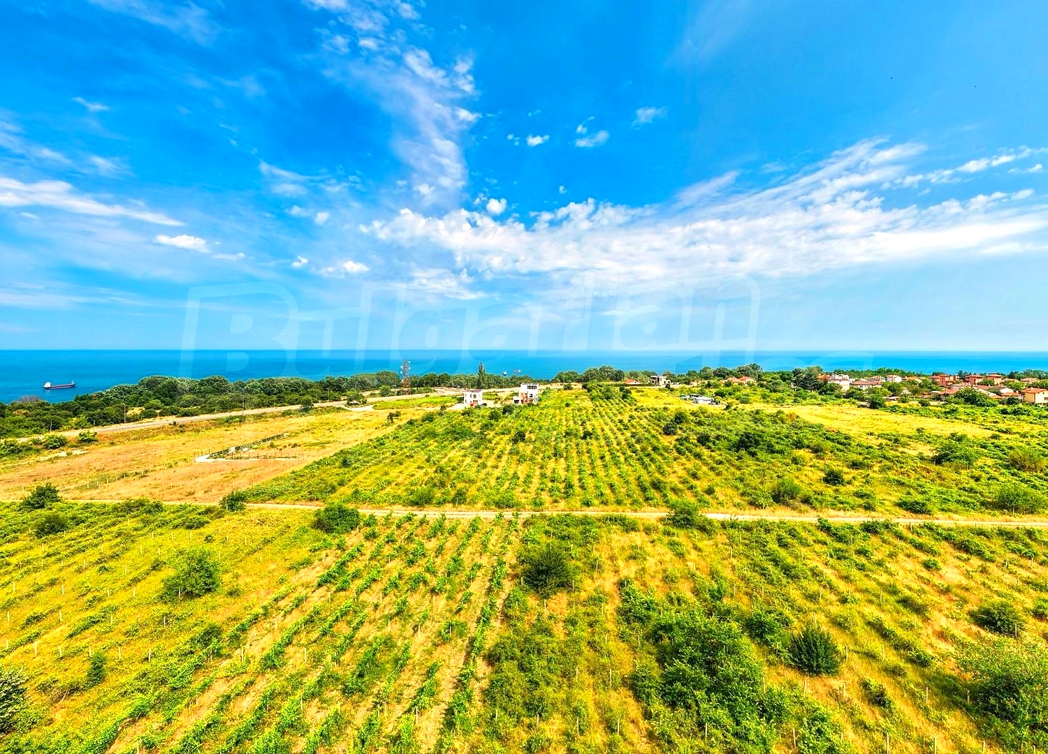 outside, sea, green area