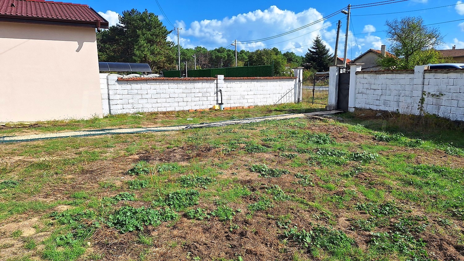 outside, garden
