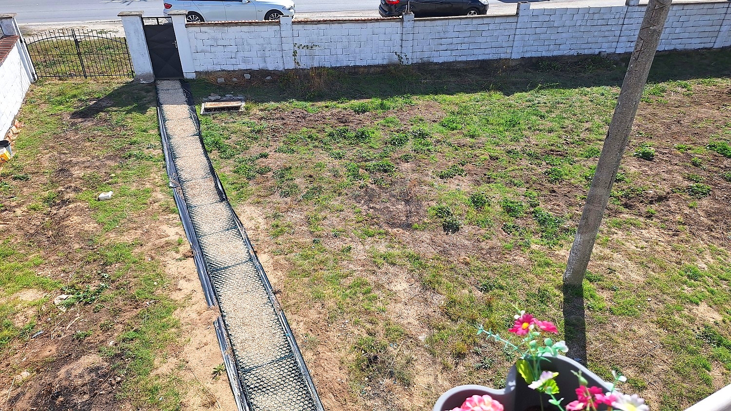 outside, garden