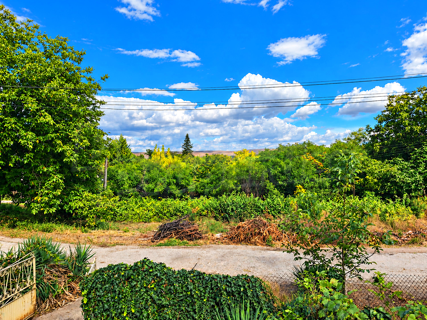 outside, green area
