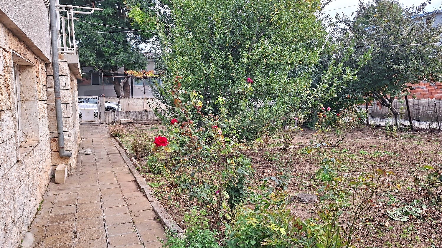 outside, garden
