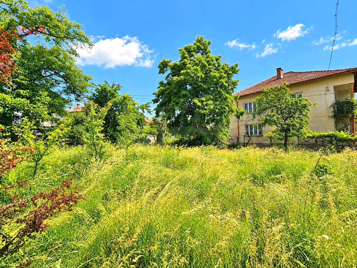 outside, garden, facade, green area