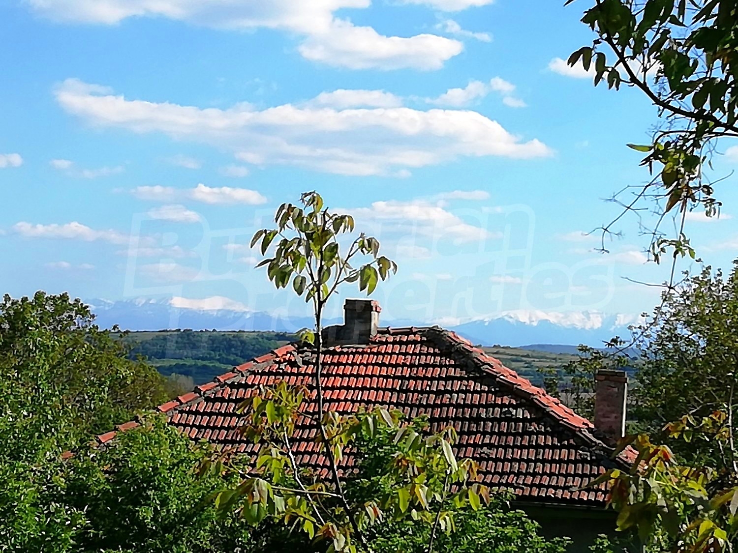 outside, mountain, green area
