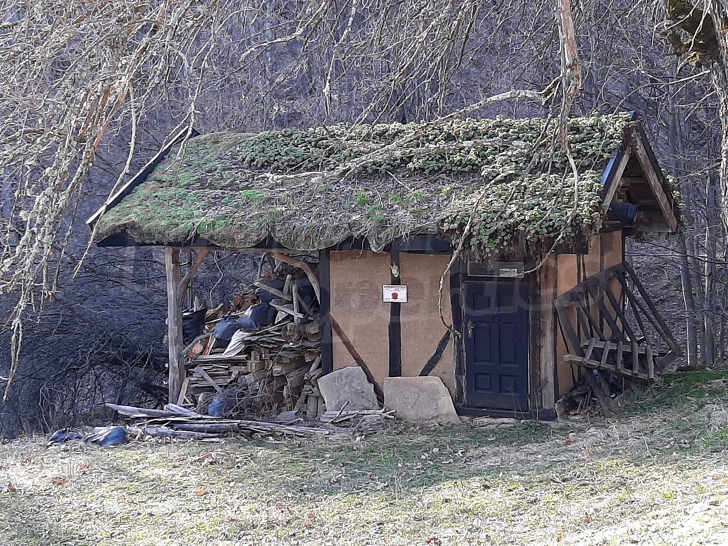 outside, facade, garden