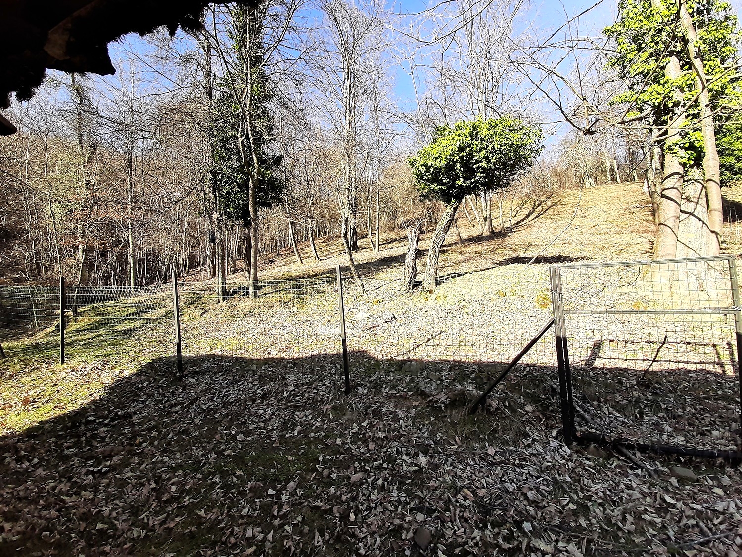 outside, garden, green area