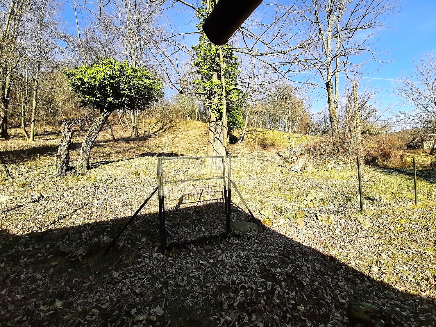 outside, garden, green area