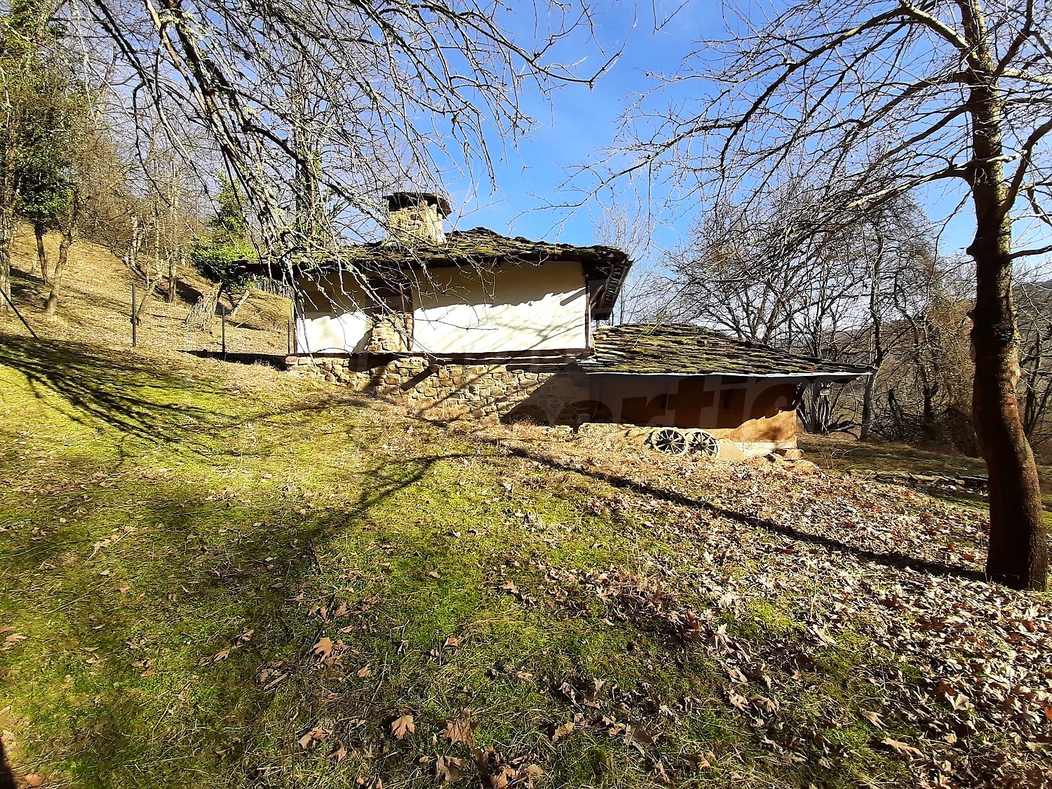 outside, facade, garden, green area