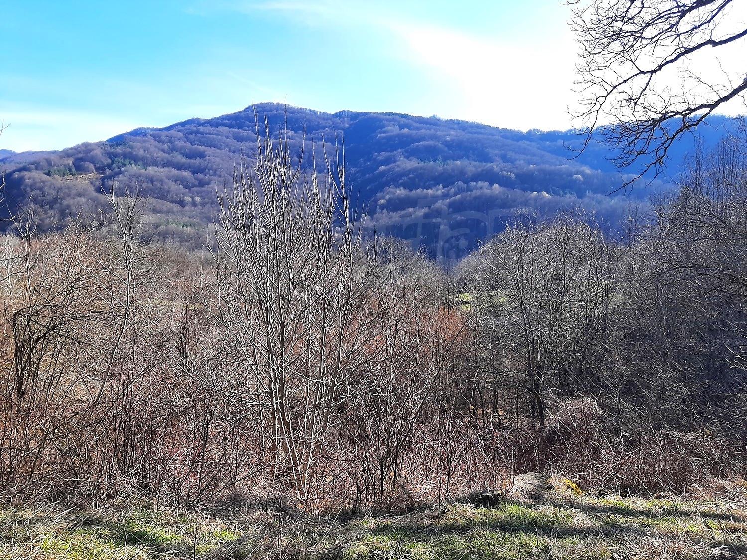 outside, mountain, green area