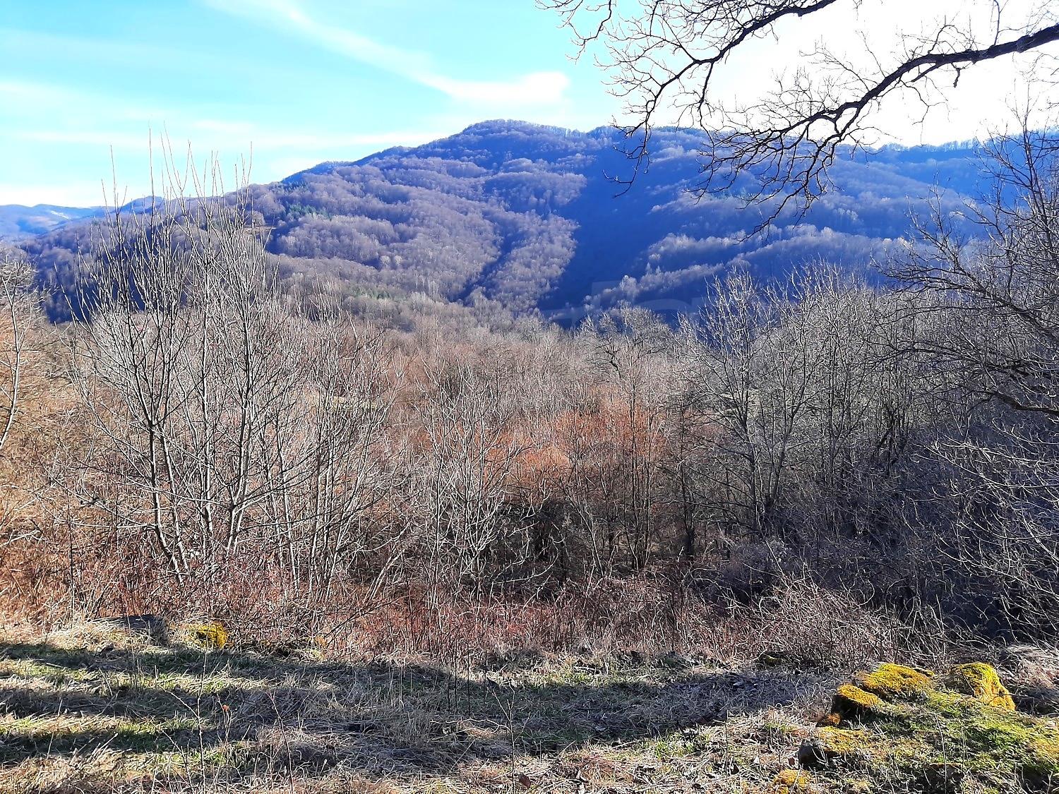 outside, mountain, green area