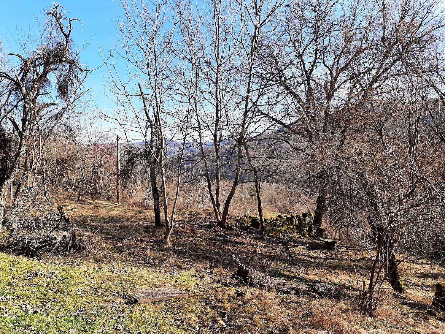 outside, mountain, green area
