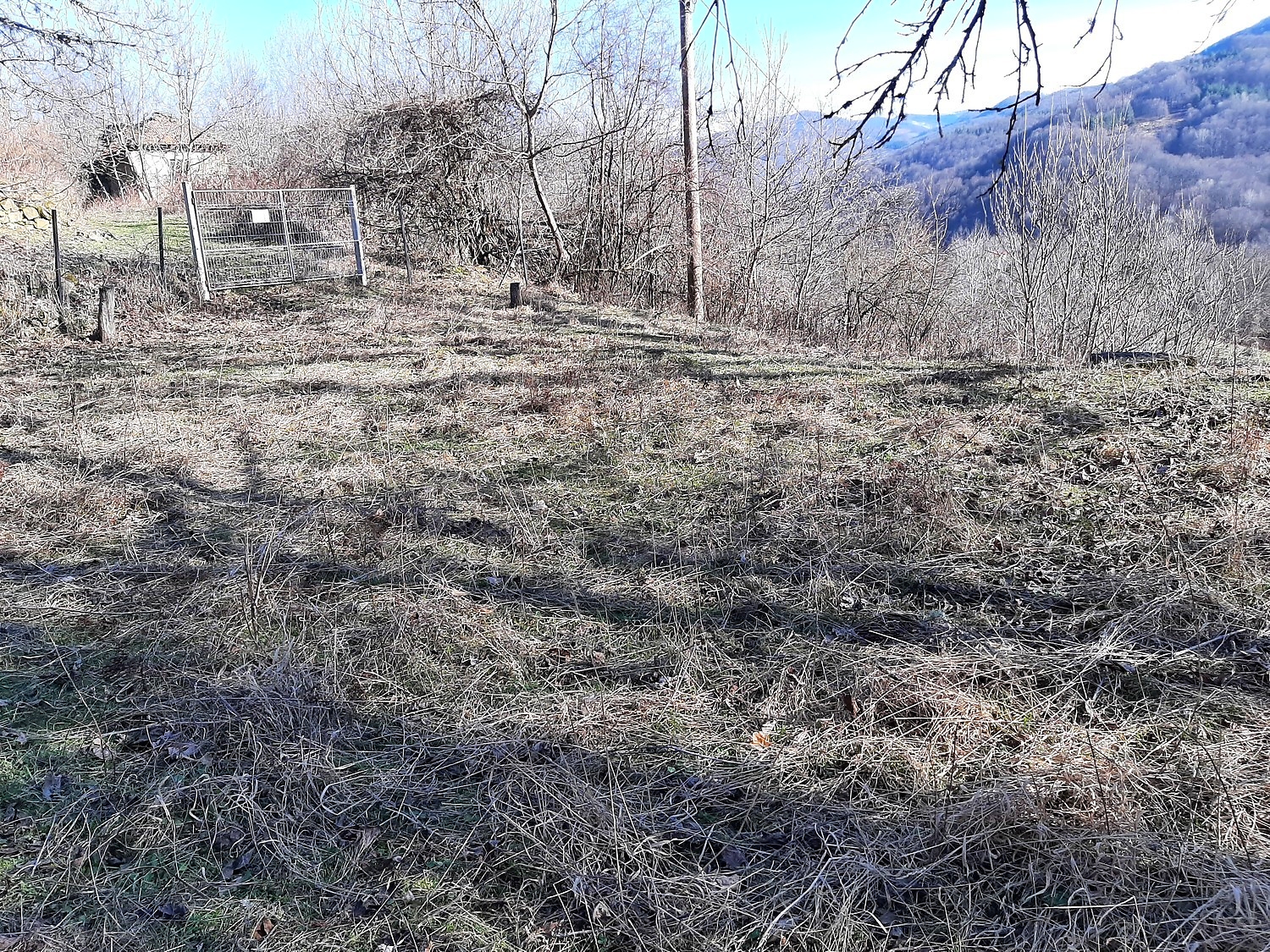 outside, mountain, green area