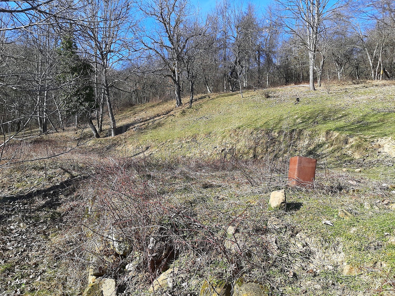 outside, green area