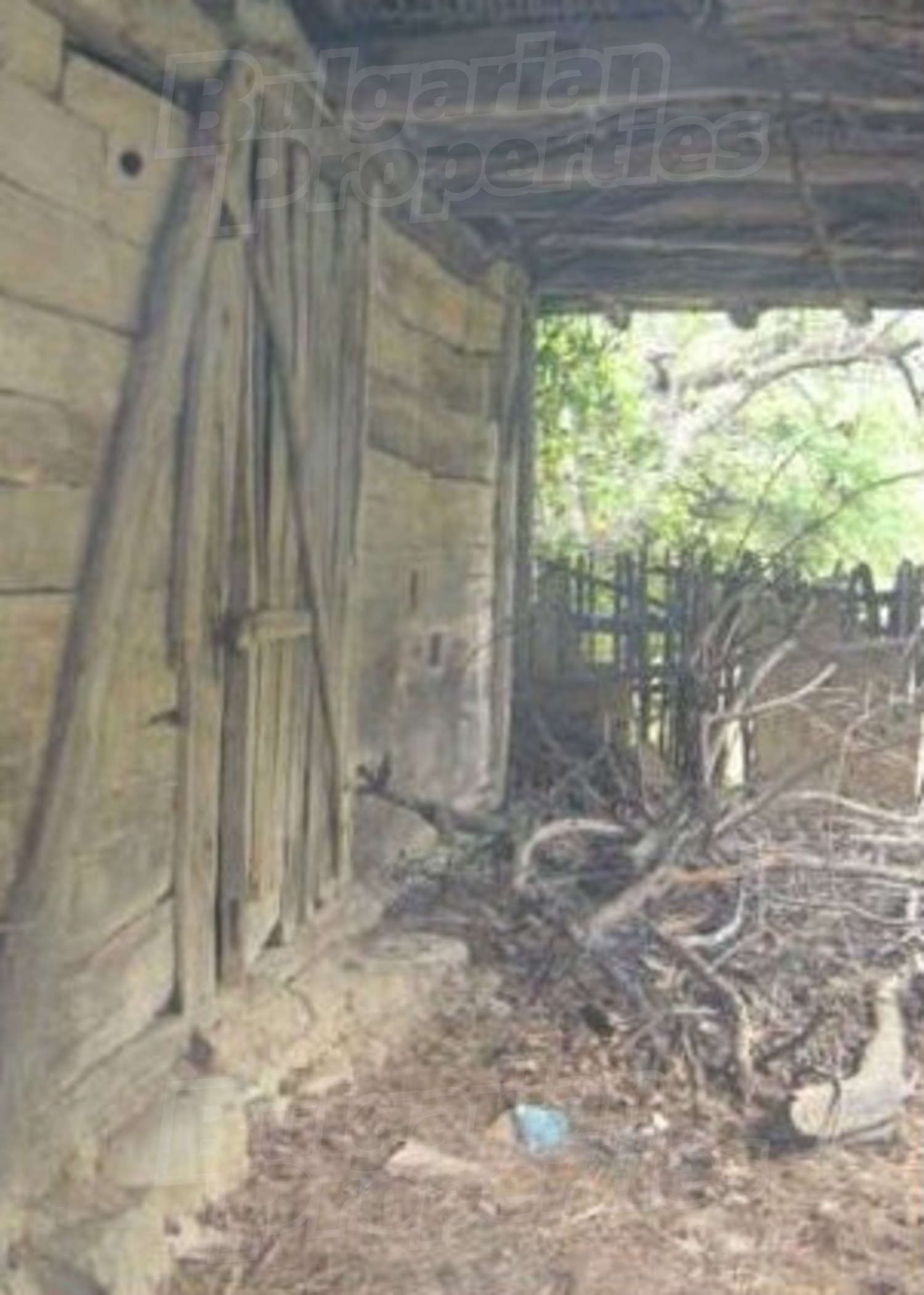 outside, garden