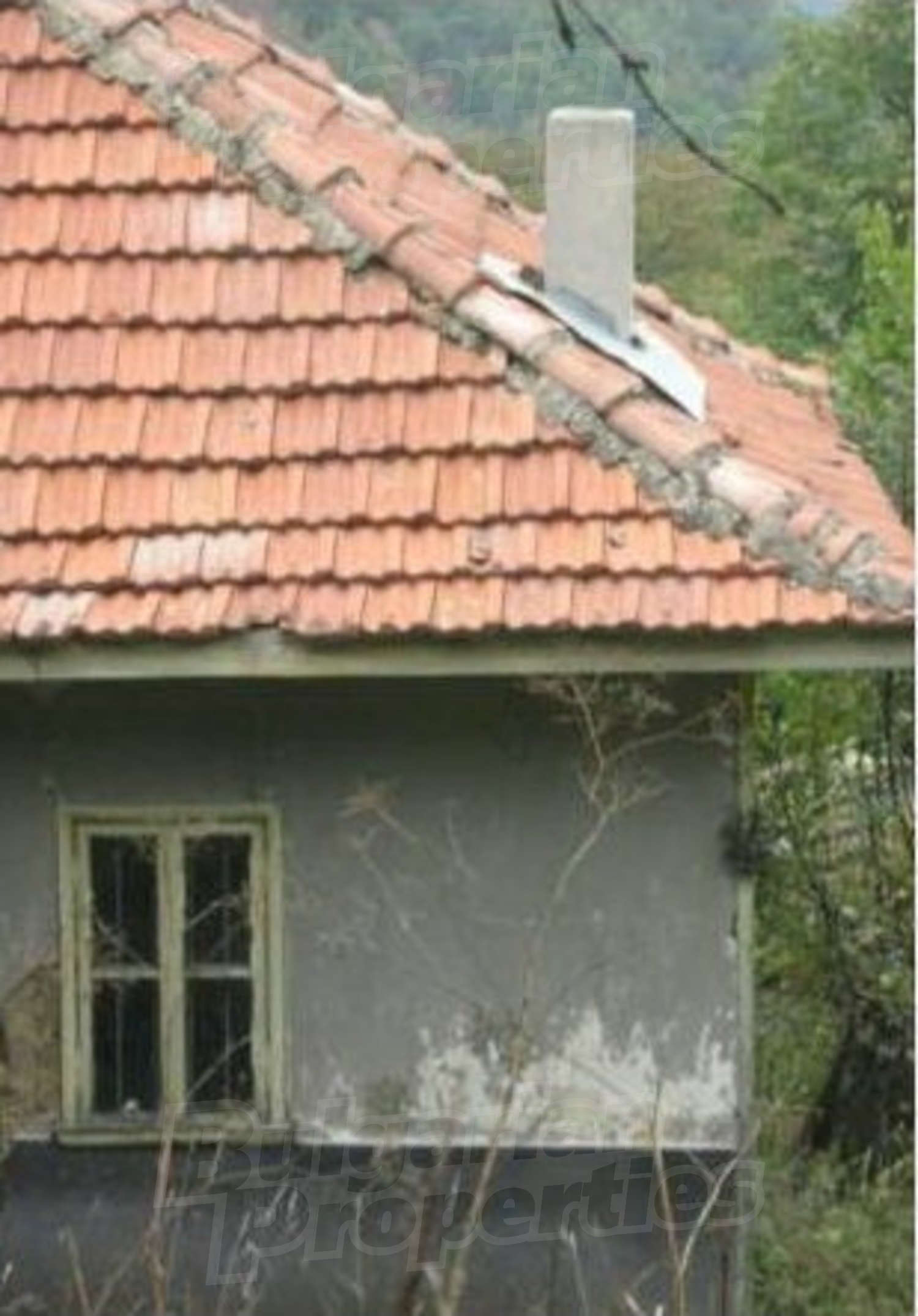 outside, facade, green area