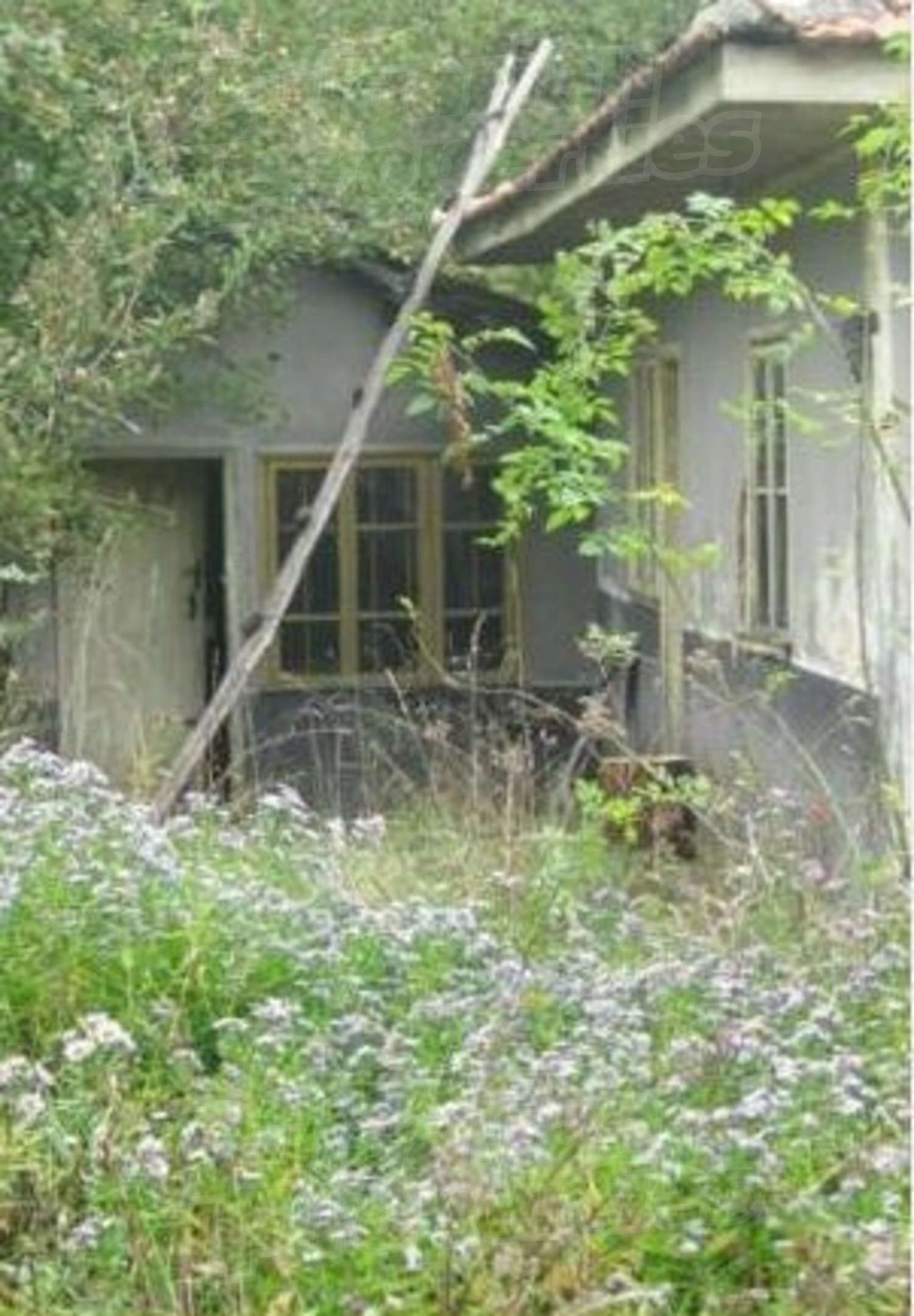outside, facade, garden