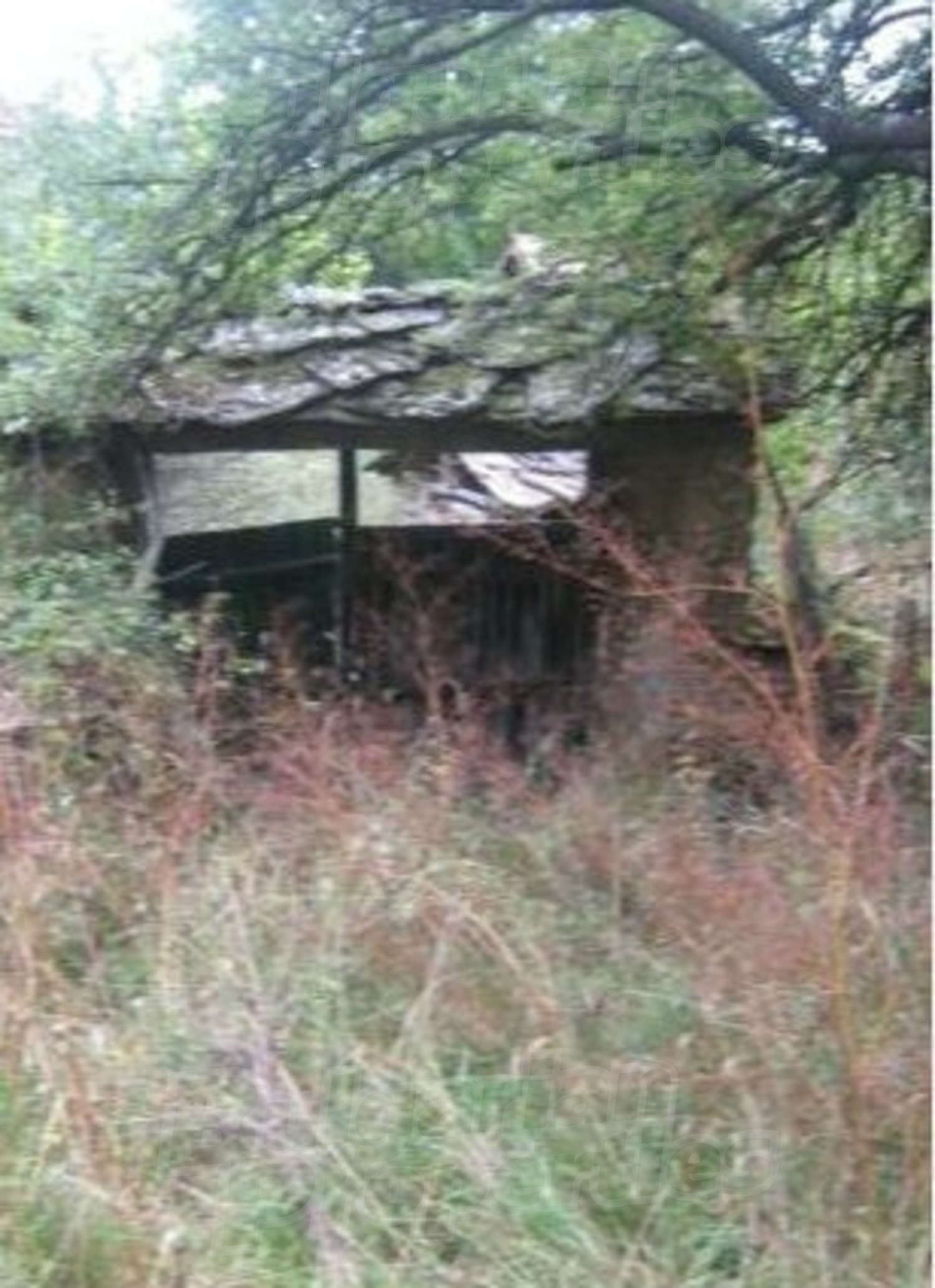 outside, green area, facade