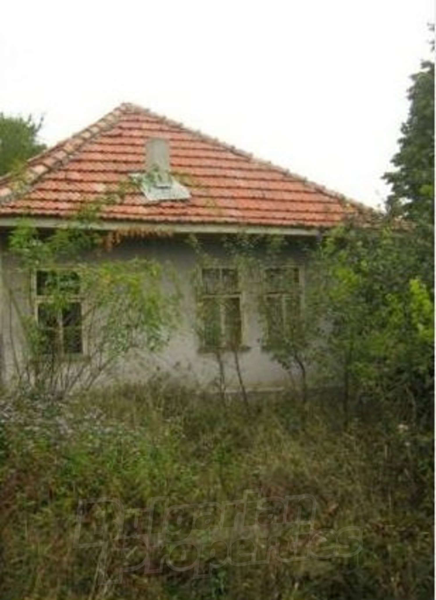 outside, facade, green area