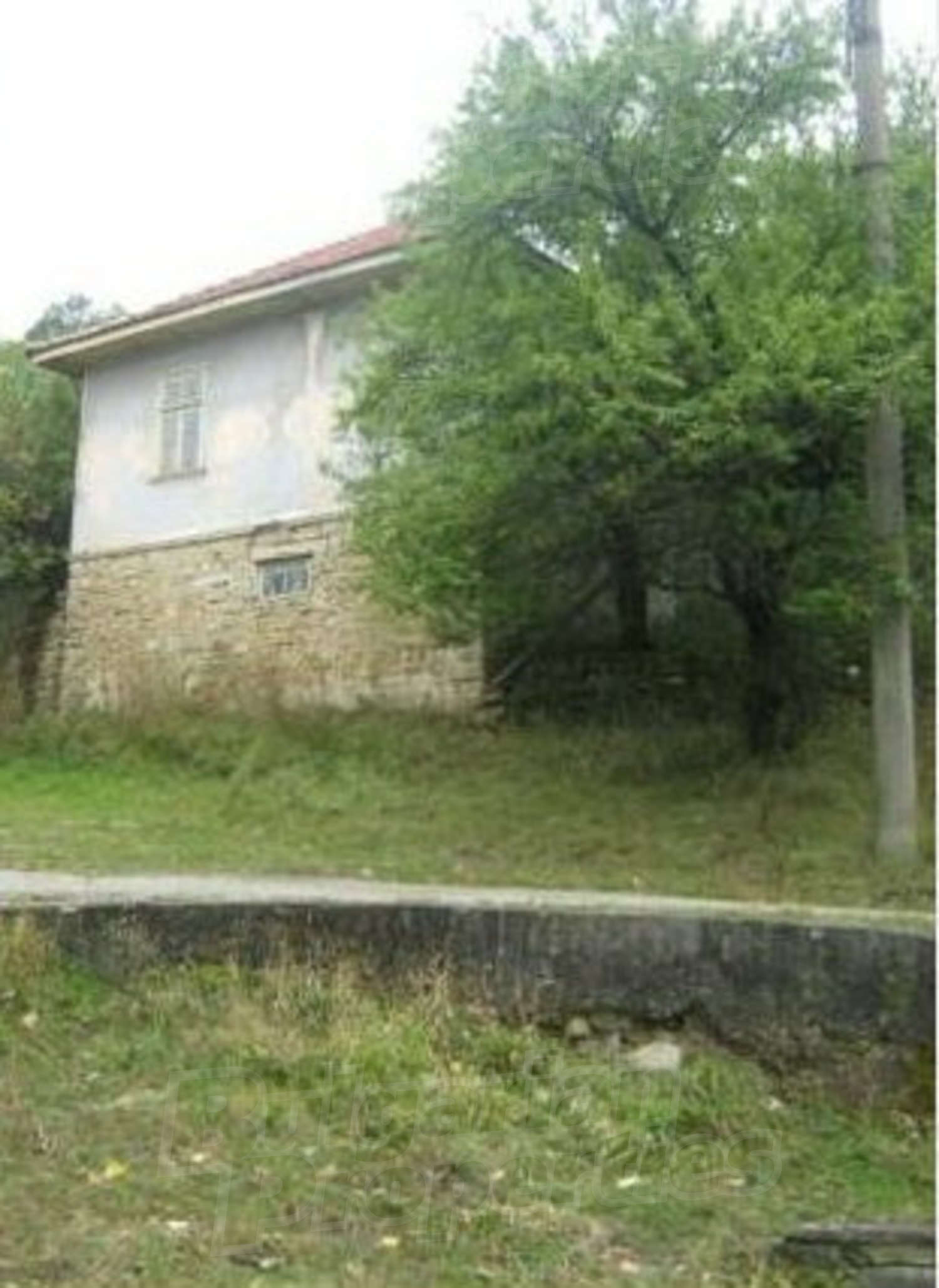 facade, garden, outside