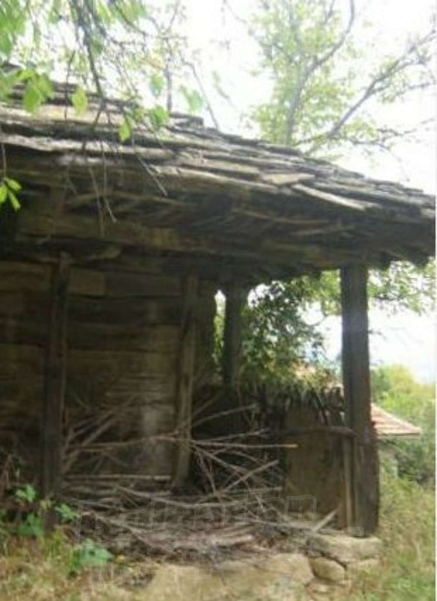 outside, facade, green area