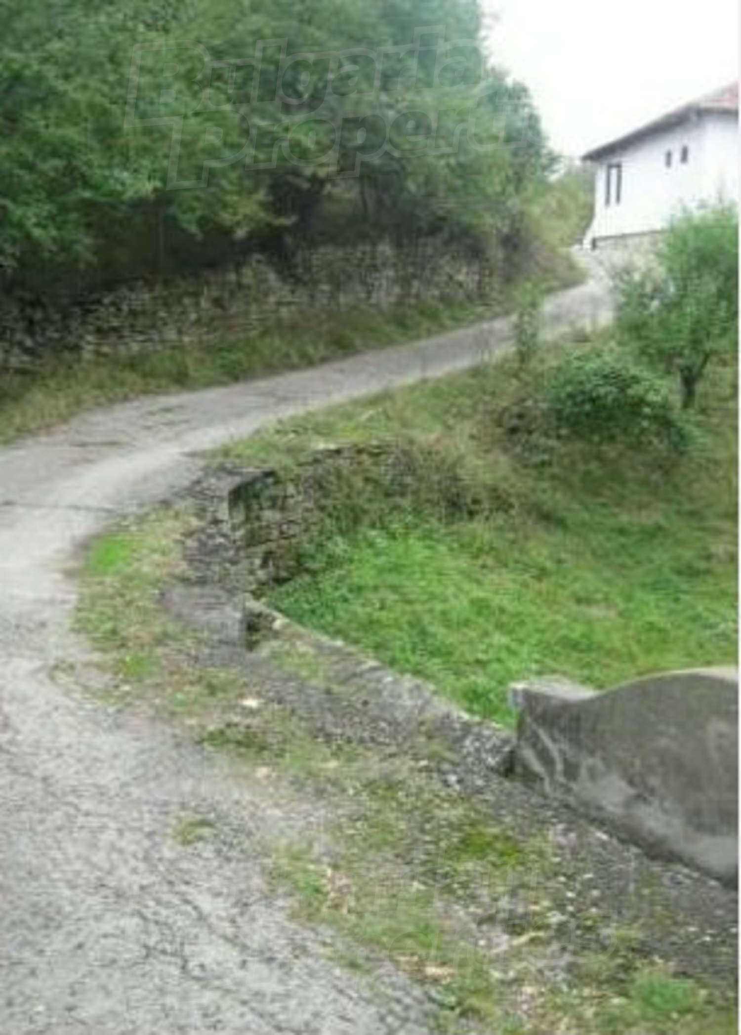 outside, green area