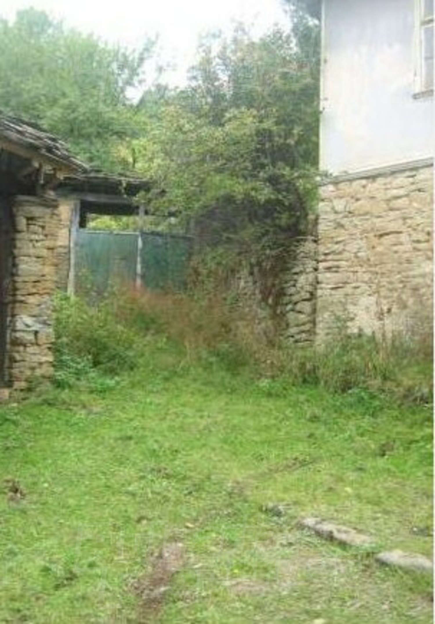 outside, garden, facade, green area