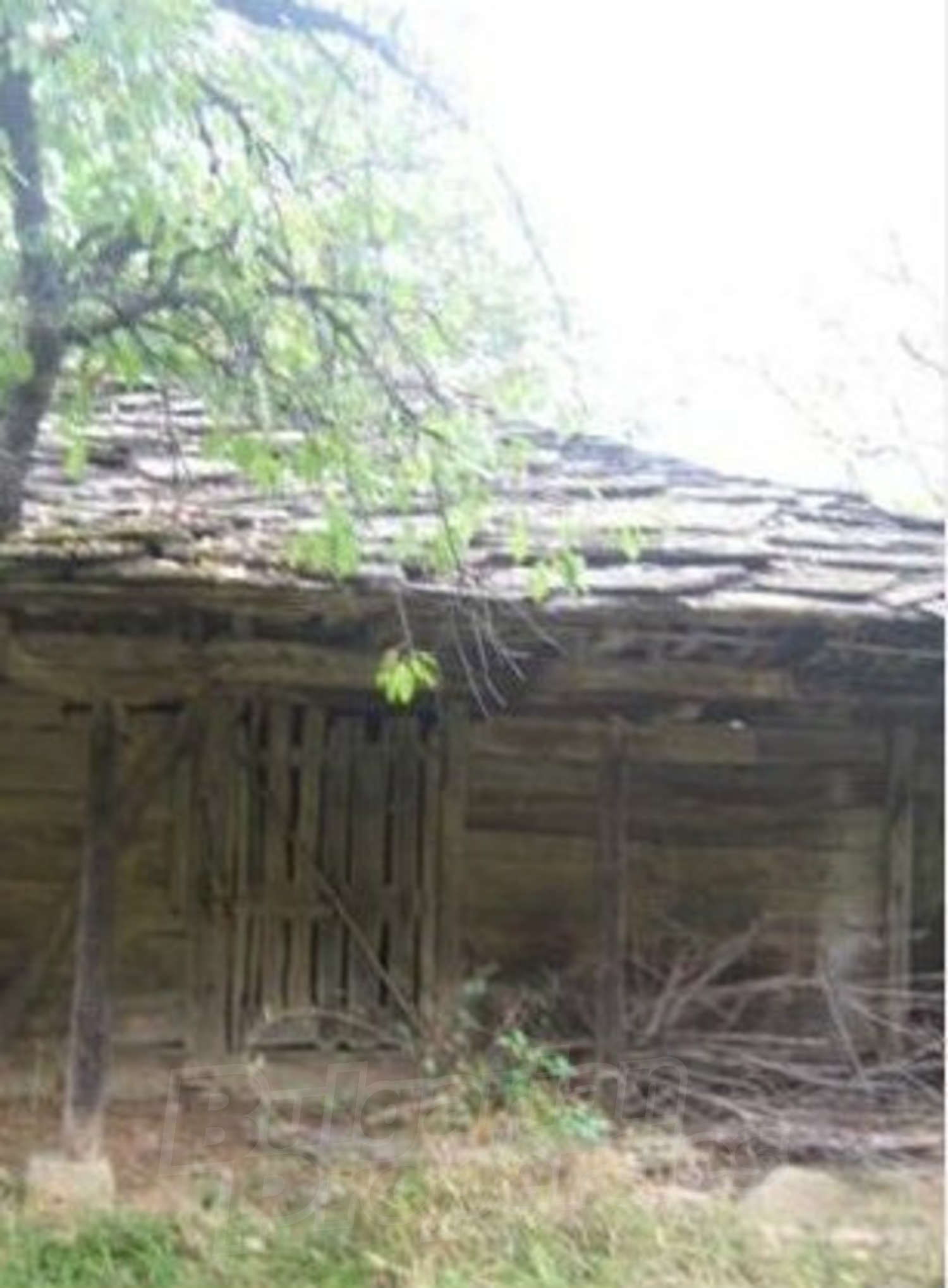 outside, facade, green area