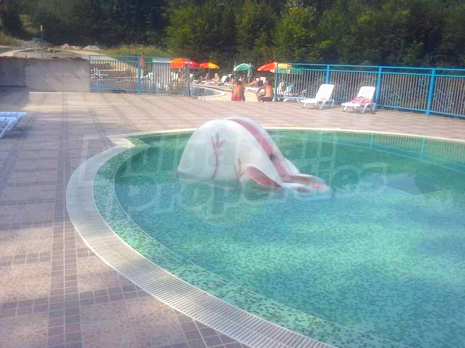 pool, outside
