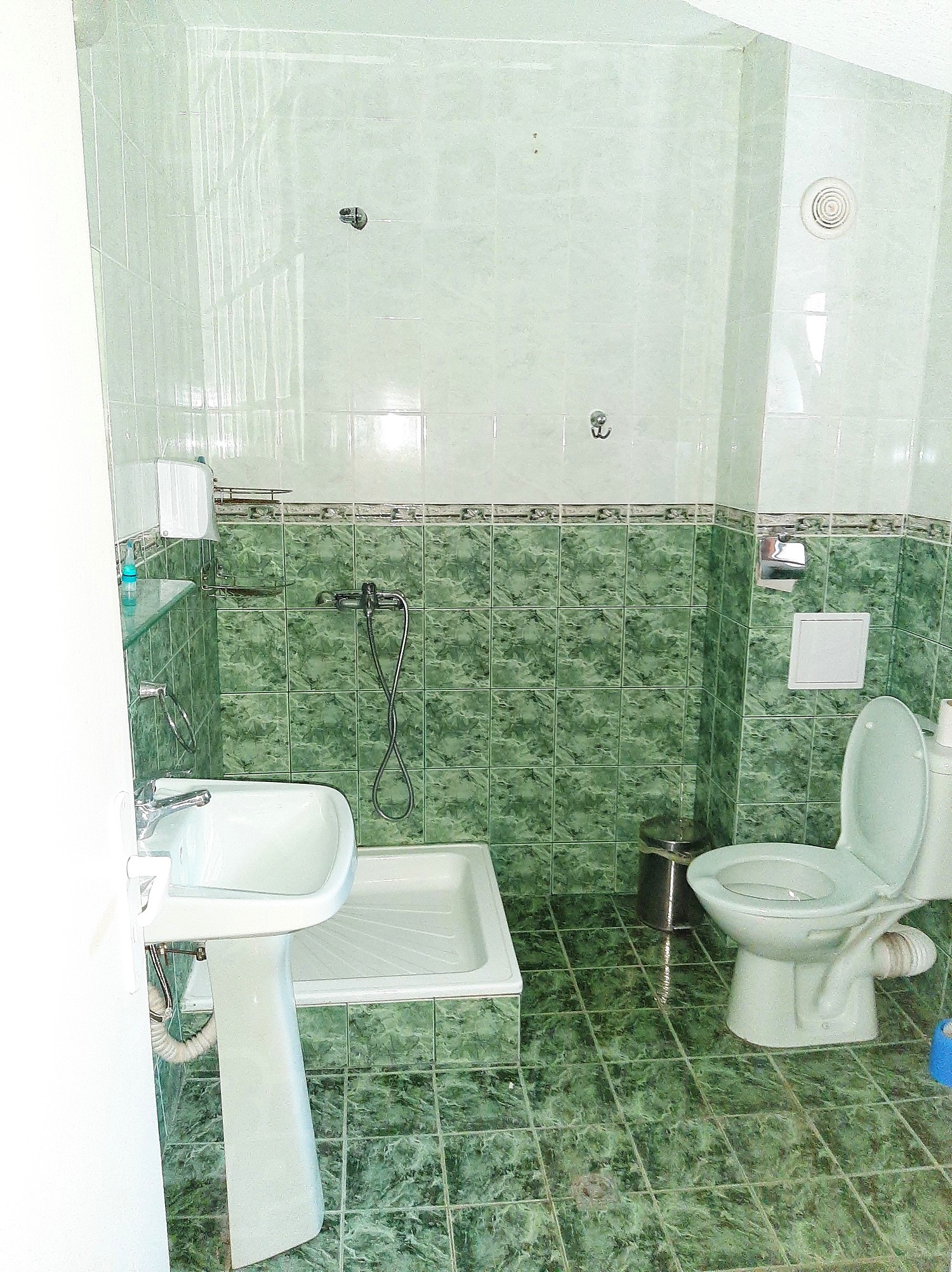 bathroom, toilet